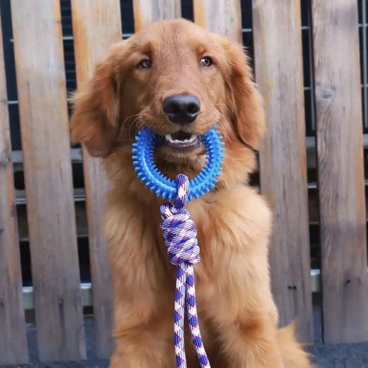 Supet Interactive Training Pet Toy Ring Spiked Ring Dog Teeth Cleaning Pet Supplies