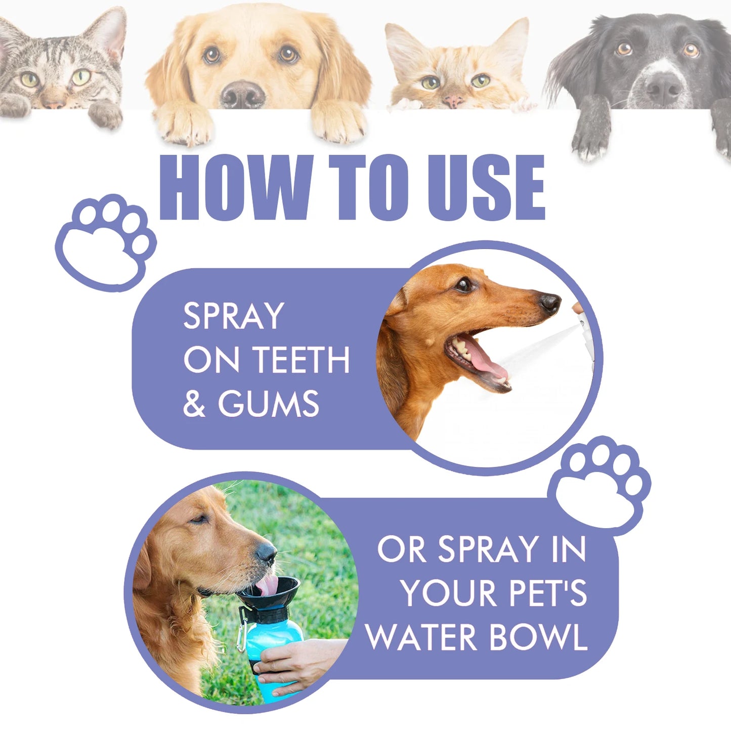 Pet Dental Spray for Dogs and Cats Freshen Breath Remove Plaque Tartar Oral Care Water Additive Easy Use 30ml No Brush Needed