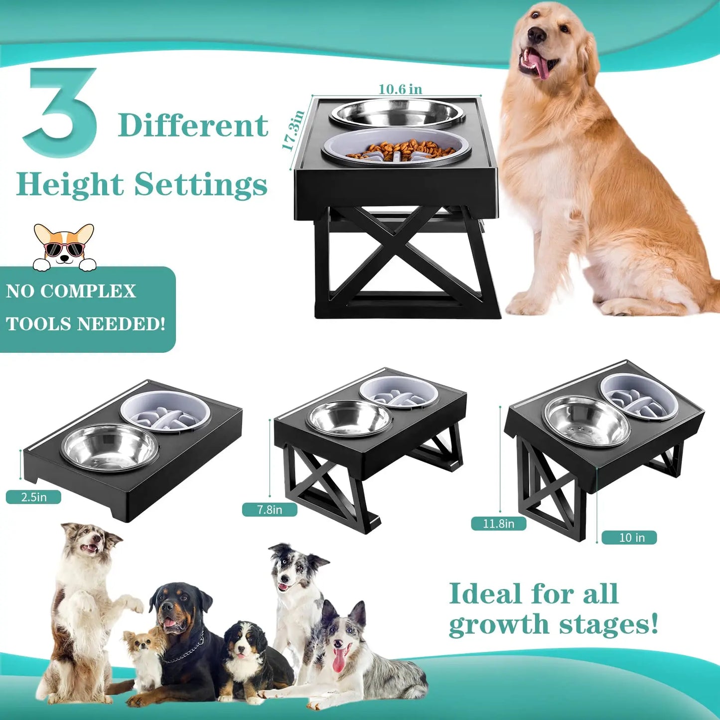 Elevated Dog Bowls 3 Adjustable Heights Raised Pet Stand with Slow Feeder Stainless Steel Food Bowls for Small Medium Large Dogs