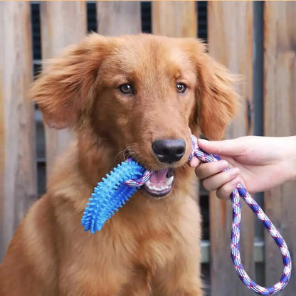 Supet Interactive Training Pet Toy Ring Spiked Ring Dog Teeth Cleaning Pet Supplies