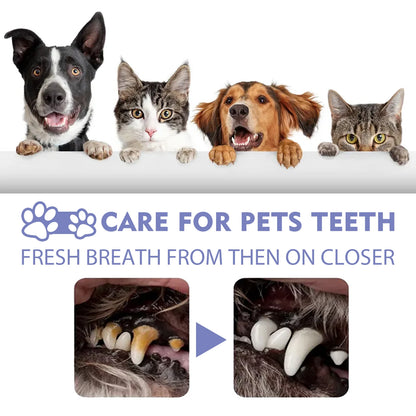 Pet Dental Spray for Dogs and Cats Freshen Breath Remove Plaque Tartar Oral Care Water Additive Easy Use 30ml No Brush Needed